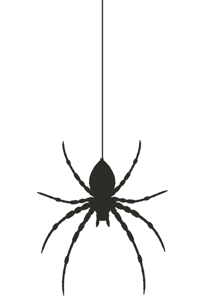 halloween deals - spider